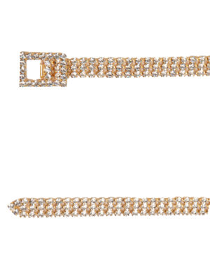 <b>SILVIA GNECCHI </b><br/>CLASSY ORO & HONEY