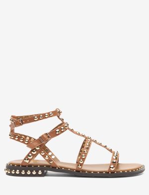 <b>ASH</b><br/>PRECIOUS 02